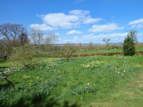 Flanders Hall West Burton المظهر الخارجي الصورة